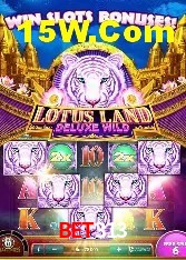 Bonus Features Bet313